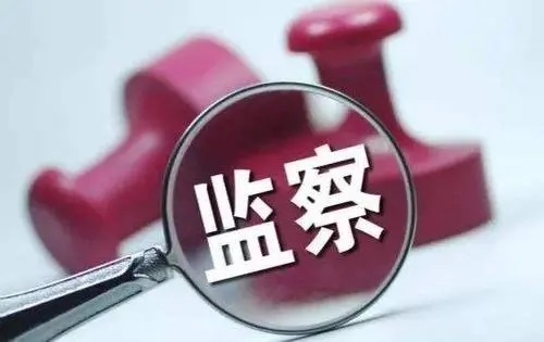 轉(zhuǎn)載丨積極推進數(shù)字紀檢監(jiān)察體系和能力建設(shè)