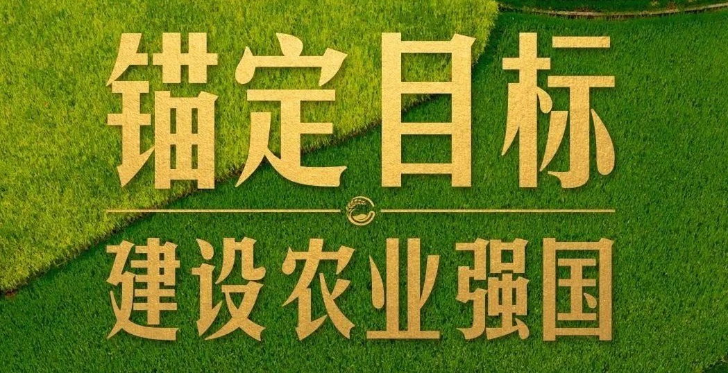 點(diǎn)燃現(xiàn)代農(nóng)業(yè)創(chuàng)新引擎，釋放農(nóng)業(yè)領(lǐng)域新質(zhì)生產(chǎn)力